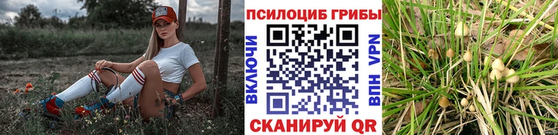 Галлюциногенные грибы прущие грибы  OMG ТОР  Печоры 